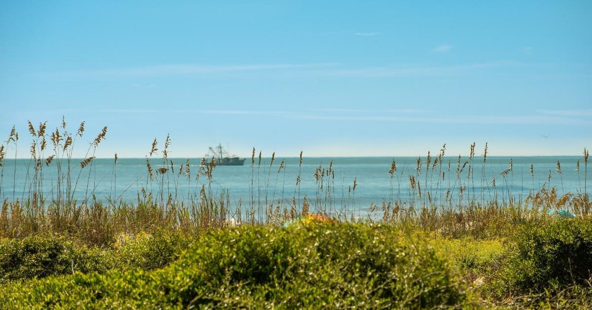 view of shrimp boat in the ocean from behind the dunes