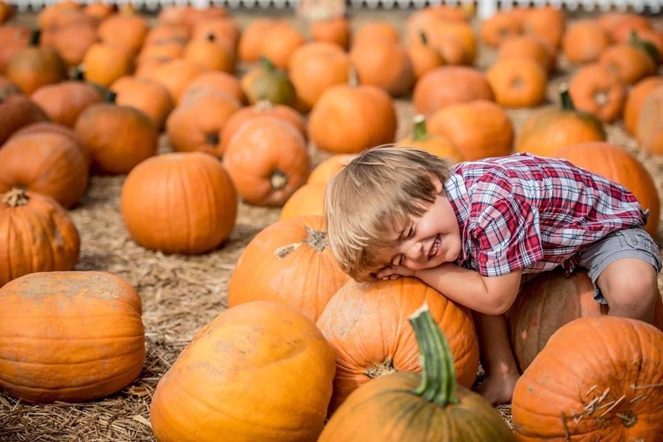 kid playing in boone hall pumpkin patch