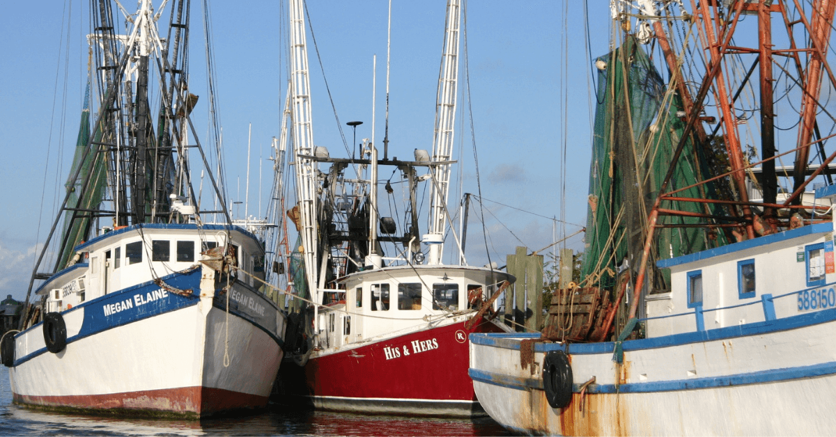 shrimp boats