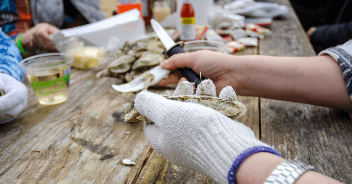 oyster shucking