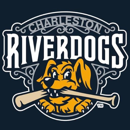 charleston riverdogs