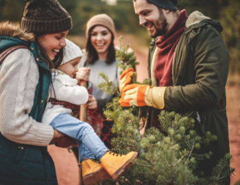 Johns Island Christmas Trees