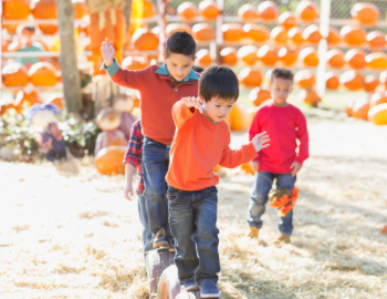 Fall Family Festival wadmalaw sc