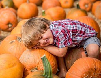 pumpkins