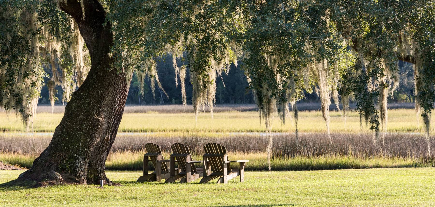 Lowcountry marsh view