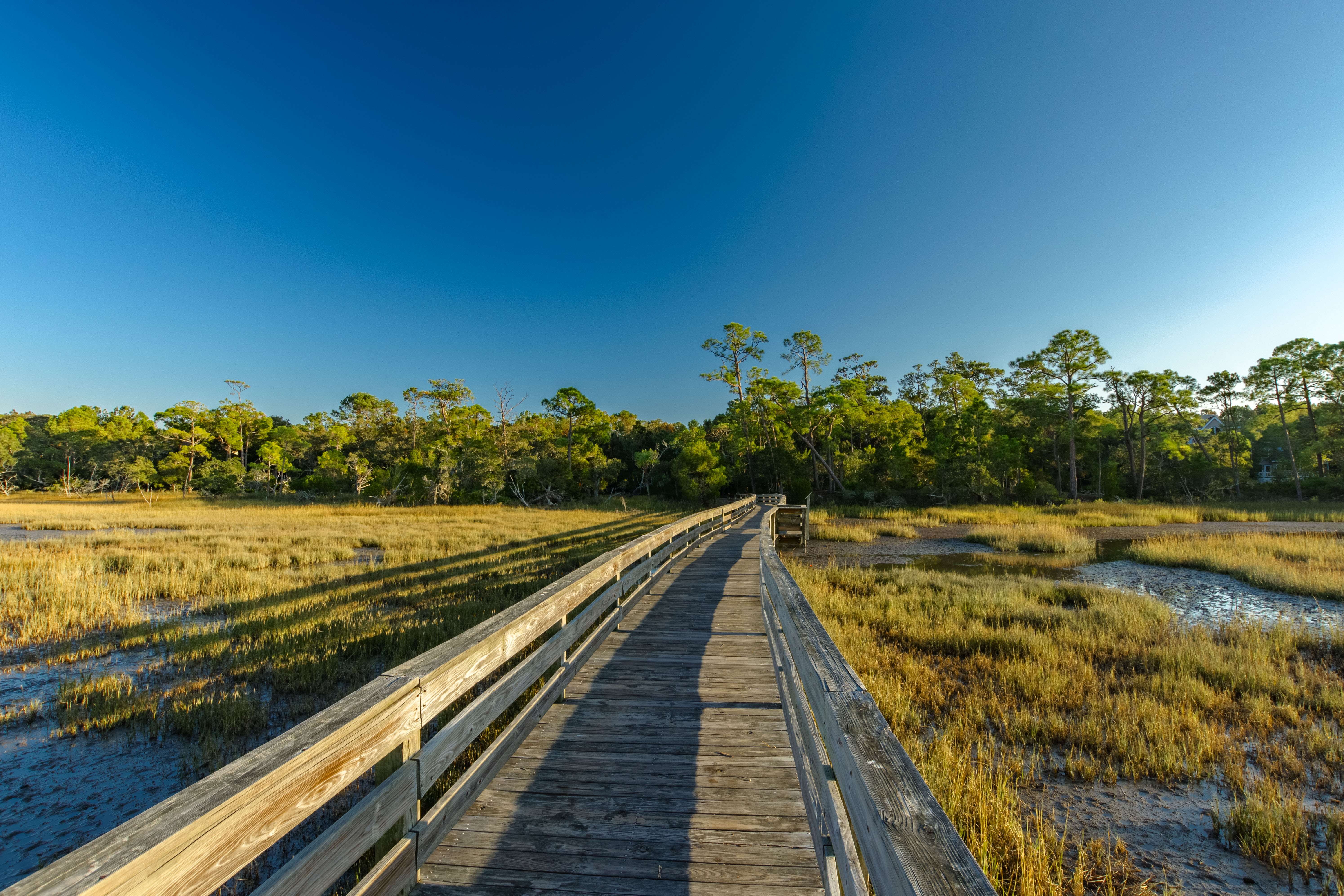 Kiawah Isalnd Rentals East Beach Kiawah Isalnd Rentals East Beach