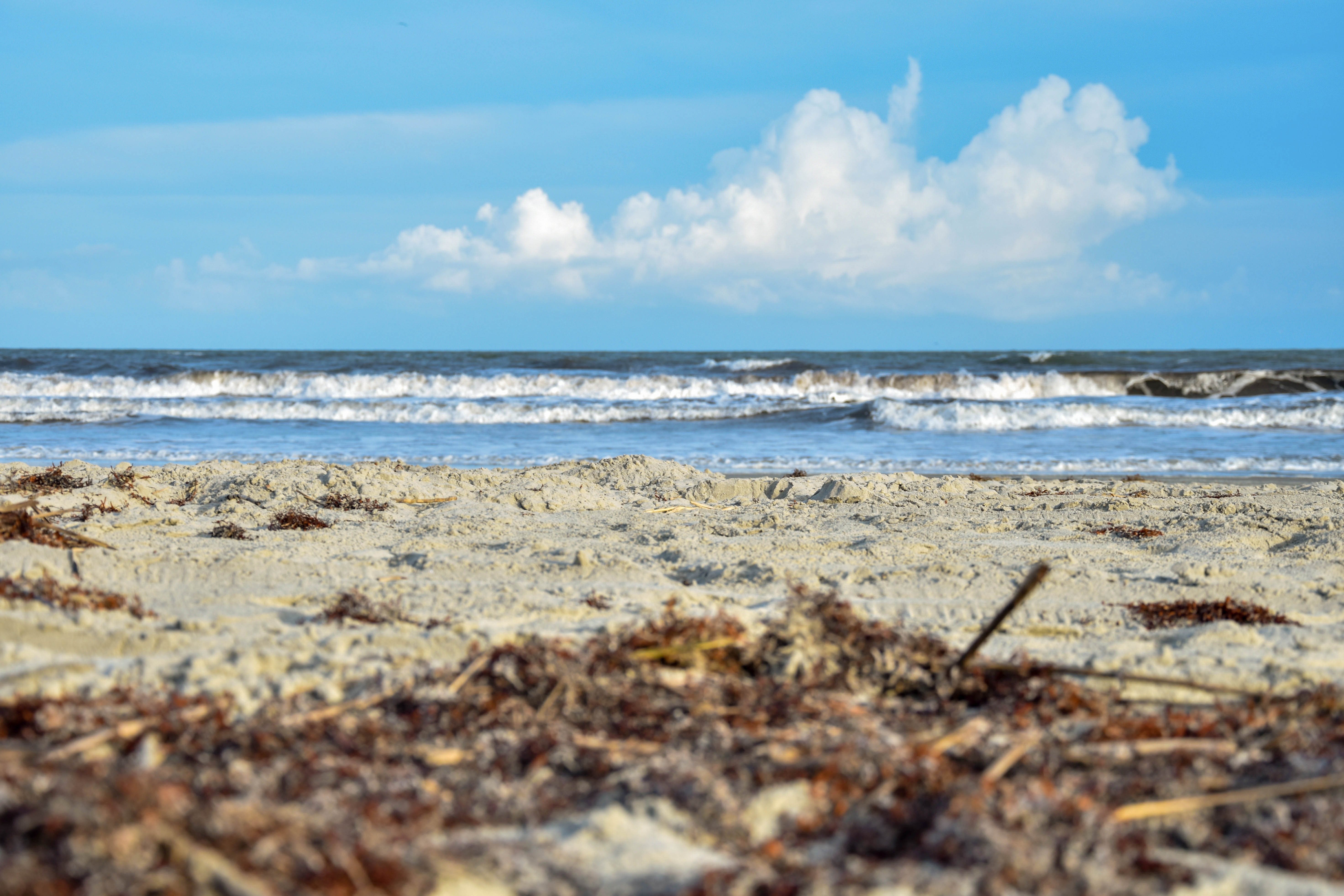 Tips for a Kiawah Island Staycation Akers Ellis Real Estate & Rentals