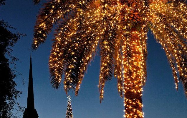 come spend christmas on kiawah akers ellis real estate rentals charleston christmas