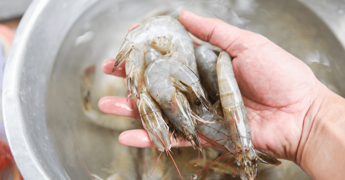 Best Seafood Markets in Charleston