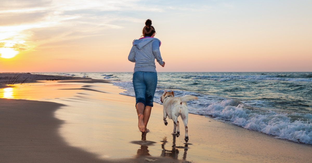 Dog on beach