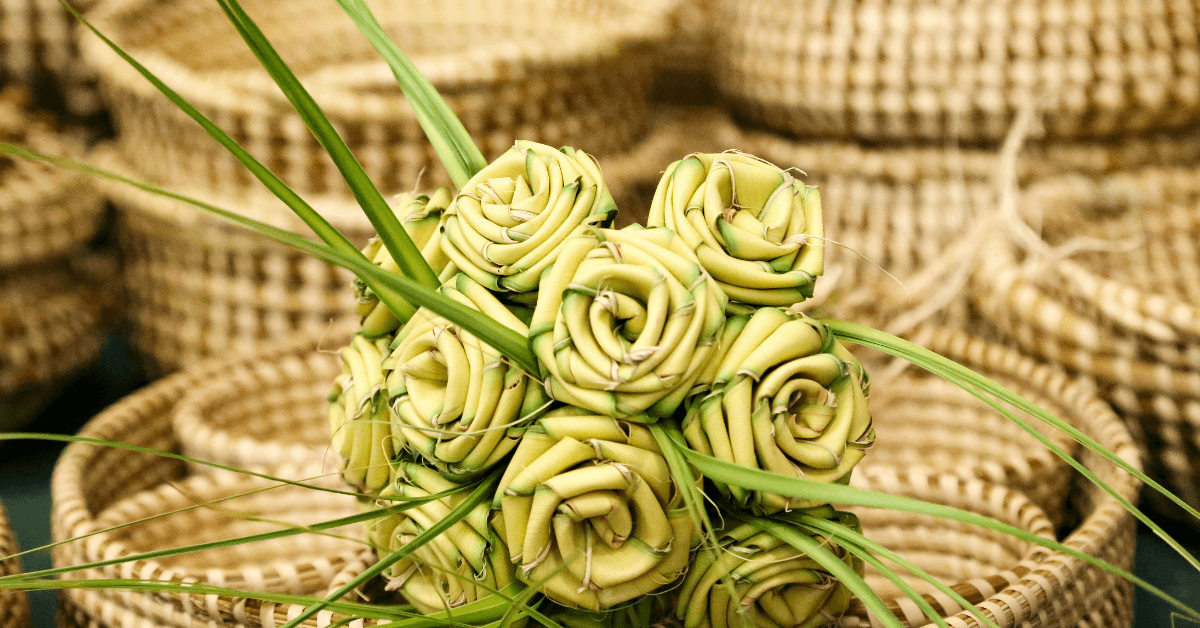 palmetto roses sweetgrass basket