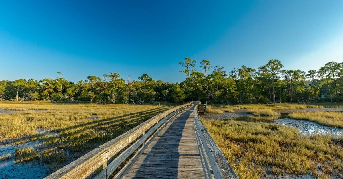wooden bridge path crossing over marsh